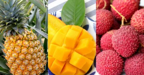 2026夏日果物大賞！微風超市龍蝦芒果、香檳芒果甜度15度預購限量登場。