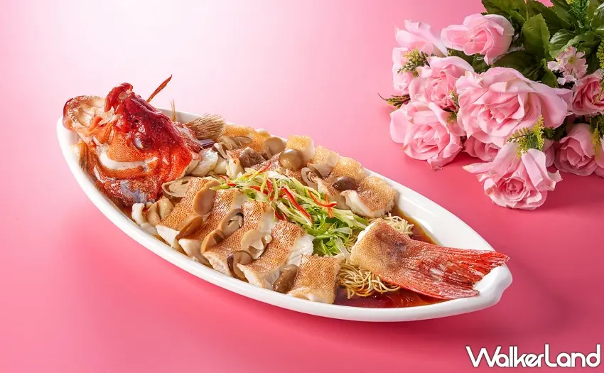 ▲專為不嗜辣賓客設計的「古味鮮菇東星斑」，嚴選鮮美東星斑與多種菇類慢火燉煮，呈現溫潤順口的傳統好滋味 。圖／瀚寓酒店提供；窩客島整理