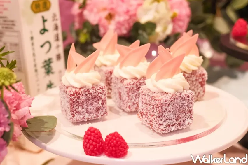 ▲旭集寶盒椰雪覆盆莓蛋糕以四葉乳業奶霜打造細緻蛋糕體，搭配果泥與椰子絲呈現酸甜平衡。（攝影：張人尹）