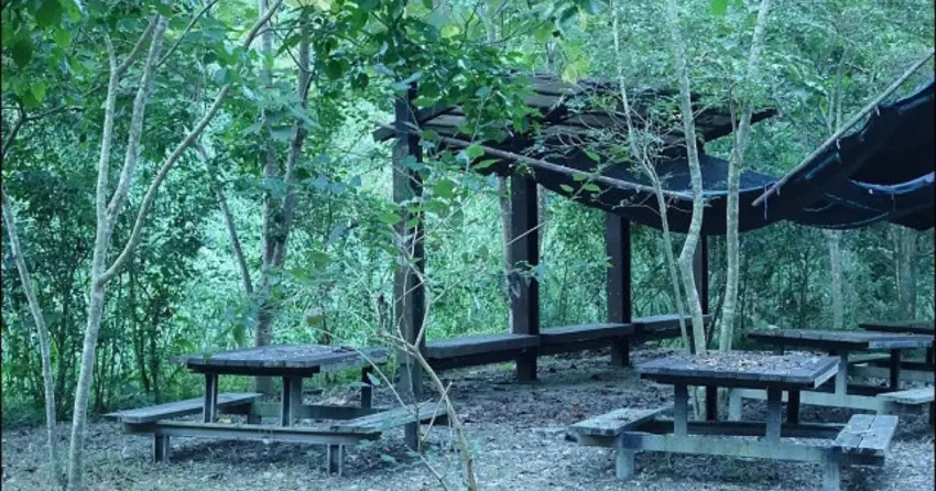 ▲「玉龍泉生態步道」全長約1,100公尺，分為三大段路線，沿途綠意環繞、設有休憩空間，很適合安排一趟森林小旅行。