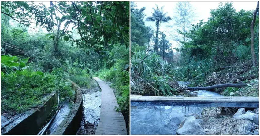 ▲玉龍泉步道的溪水清澈見底，水質乾淨到達可生飲標準，環境清幽且靜謐。