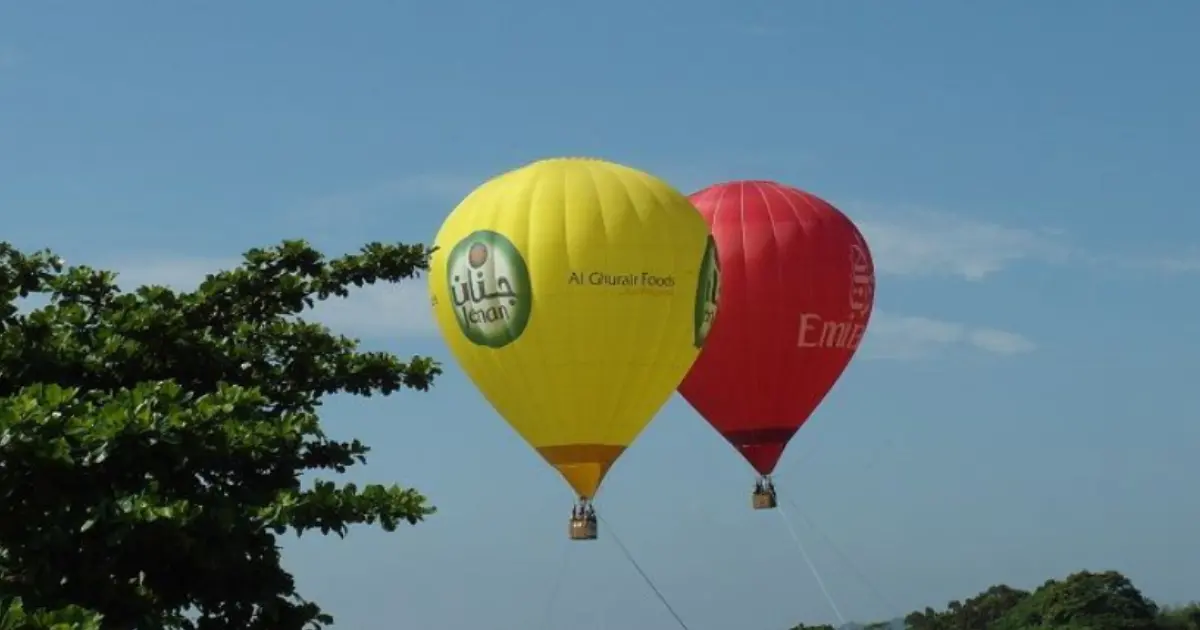 吉伊卡哇熱氣球登台！台東鹿野一日遊，梅花鹿公園、高台美景順遊必看。