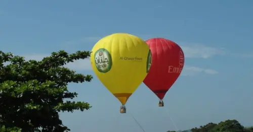 吉伊卡哇熱氣球登台！台東鹿野一日遊，梅花鹿公園、高台美景順遊必看。