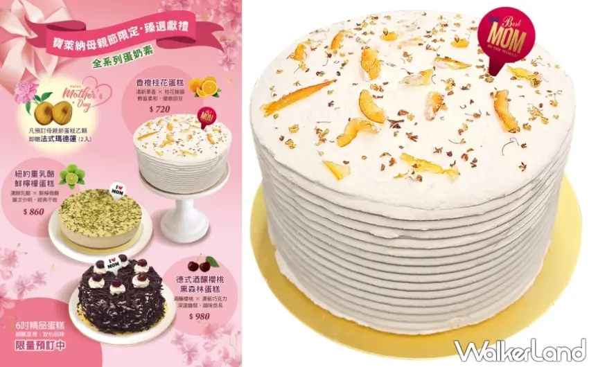 ▲寶萊納香橙桂花蛋糕，這款專為母愛打造的甜點，將果香與花香交織出歲月靜好的甘甜。圖／點水樓提供；窩客島編輯李維唐整理