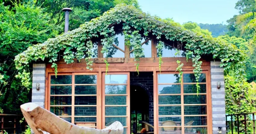 ▲「綠葉方舟」被大片森林綠意包圍，廣大的園區宛如隱身山林中的世外桃源，在自然景色中悠閒享用美食，愜意又療癒。