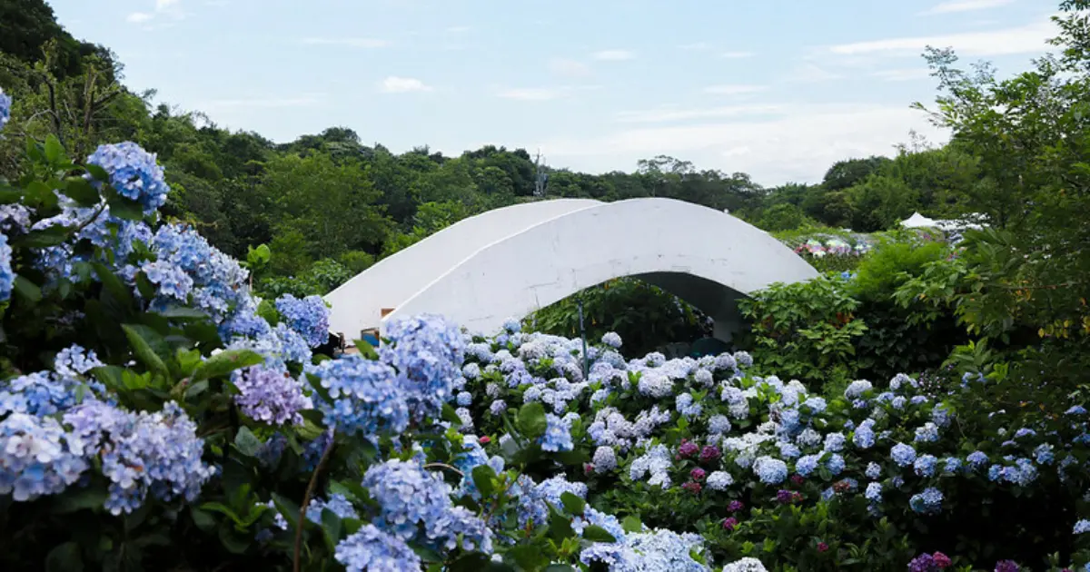 母親節帶媽媽輕旅行！全台7大療癒系景點提案，花海湖景、城堡下午茶超享受。