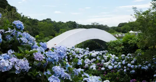 母親節帶媽媽輕旅行！全台7大療癒系景點提案，花海湖景、城堡下午茶超享受。