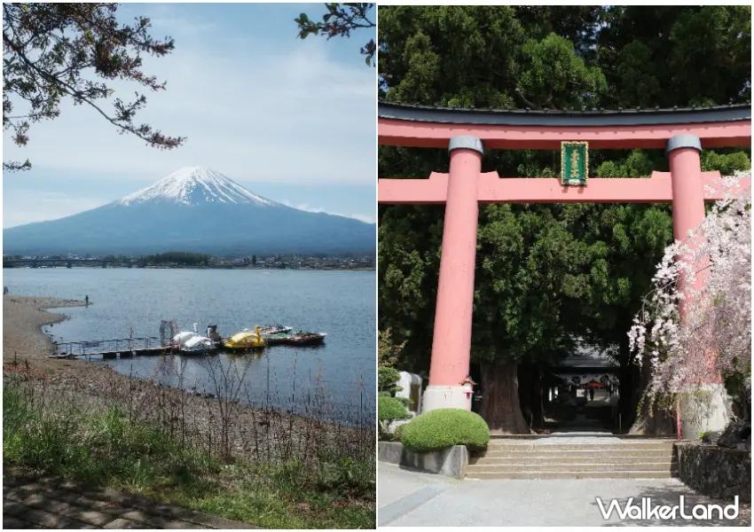 ▲富士山不只有熱門賞櫻景點值得停留，無人秘境、千年神社同樣精彩，避開人潮展開一場更悠閒的絕景旅行。
