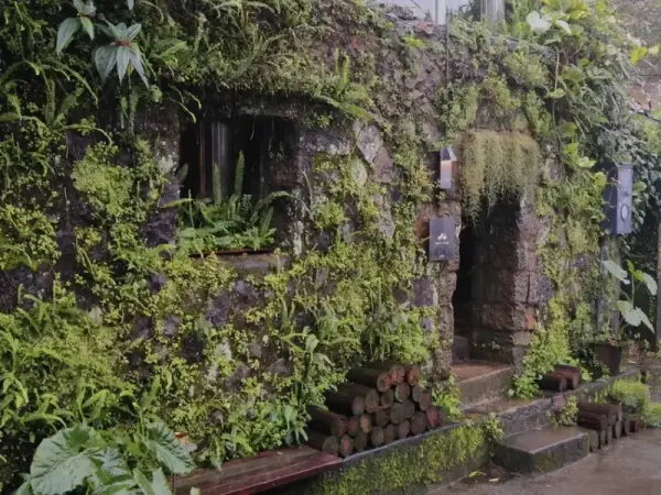 ▲新北森林系餐廳推薦！九份廢墟改建的「微光森林」，頂部透光的玻璃天窗與大片窗景。(攝影：部落客 艾吃食間)