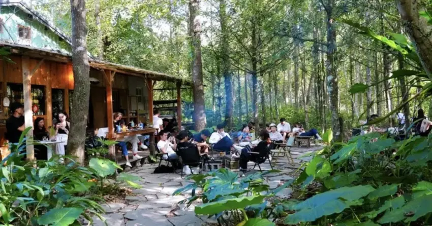 新北森林系餐廳推薦7選！必拍新北森林咖啡廳秘境，烏來瀑布景觀餐廳超狂。