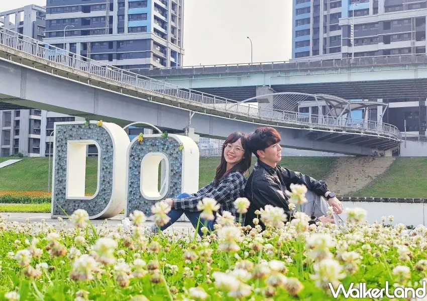 ▲IG打卡必訪新北景點，浪漫白花三葉草地毯與Do藝術裝置超好拍。