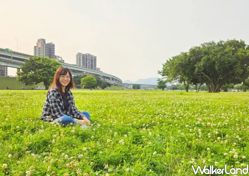 ▲春日限定免費賞花森林，都市裡最夢幻的白花三葉草秘境。