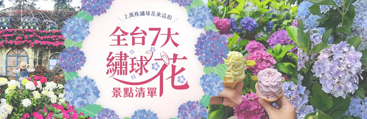 繡球花