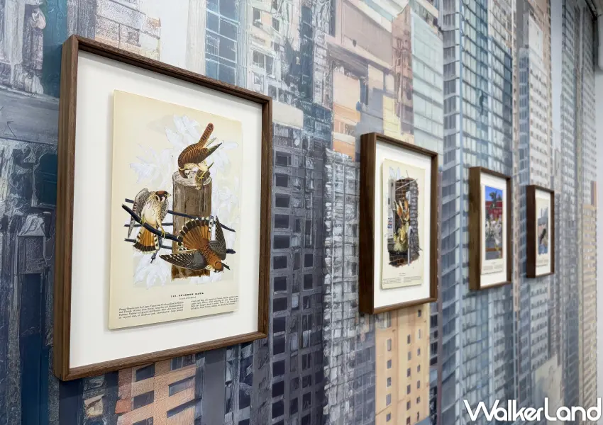 ▲中山站展免費逛！台北當代藝術館MoCA Studio 推出蔡咅璟個展免門票入場，中山站約會推薦。(攝影：鄭亦庭)
