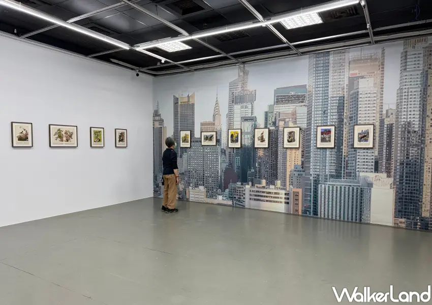 ▲中山站展覽推薦！台北當代藝術館「七日談—蔡咅璟個展」，即日起至7/5展出。(攝影：鄭亦庭)