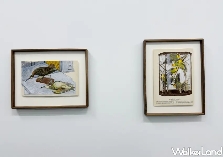 ▲中山站展覽免費參觀！三頻道錄像作品《七日談》結合臺灣傳統葬禮中「作七」的時間觀與薄伽丘《十日談》的敘事結構。(攝影：鄭亦庭)