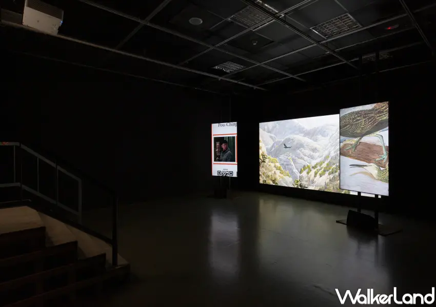 ▲錄像作品《七日談》結合台灣葬禮時間觀，帶領觀者凝視被都市忽視的動物生存狀態。