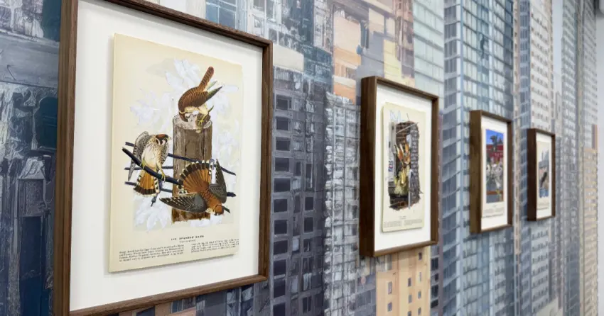 中山站展覽免費！台北當代藝術館新展覽 七日談，免門票台北室內景點約會衝。