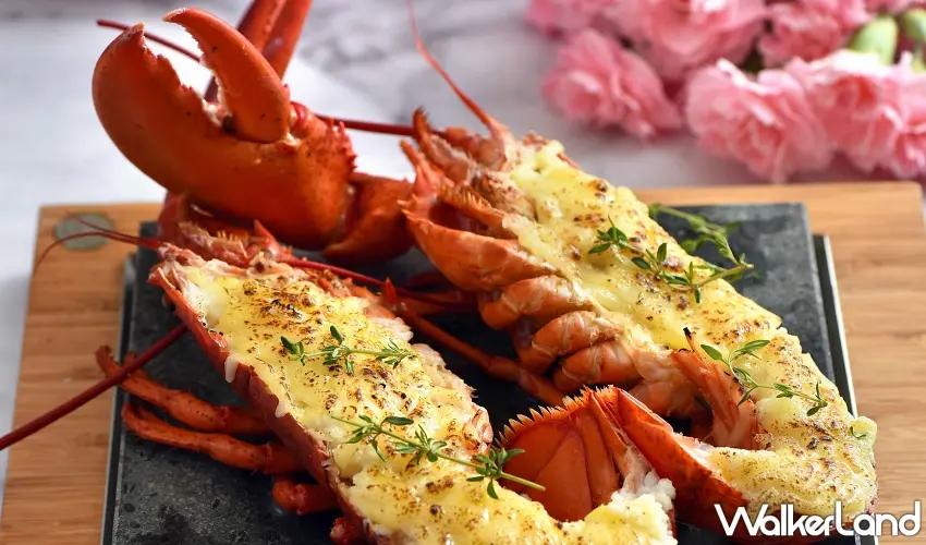 ▲「50樓Cafe」打造款待媽咪的豪華海陸饗宴，每位賓客加碼焗烤波士頓龍蝦半隻 。 圖／Mega50餐飲及宴會提供；窩客島編輯李維唐整理