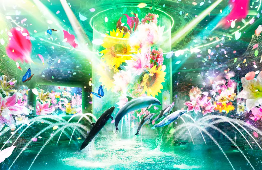 ▲結合了光、水、音效與海豚的律動，全新追加的LED演出讓整體氛圍更顯華麗。