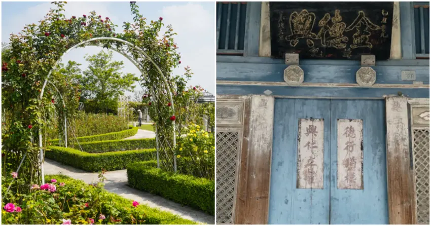 ▲走進台南後壁，從百年中藥行到療癒花園，這座農村小鎮藏著最迷人的台味日常。