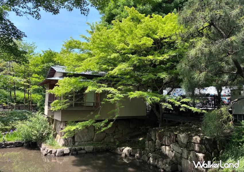 ▲「向山庭園」禪意十足，綠意環繞相當愜意，園內還設有茶室可供租借，是相當優美的文藝活動會場。