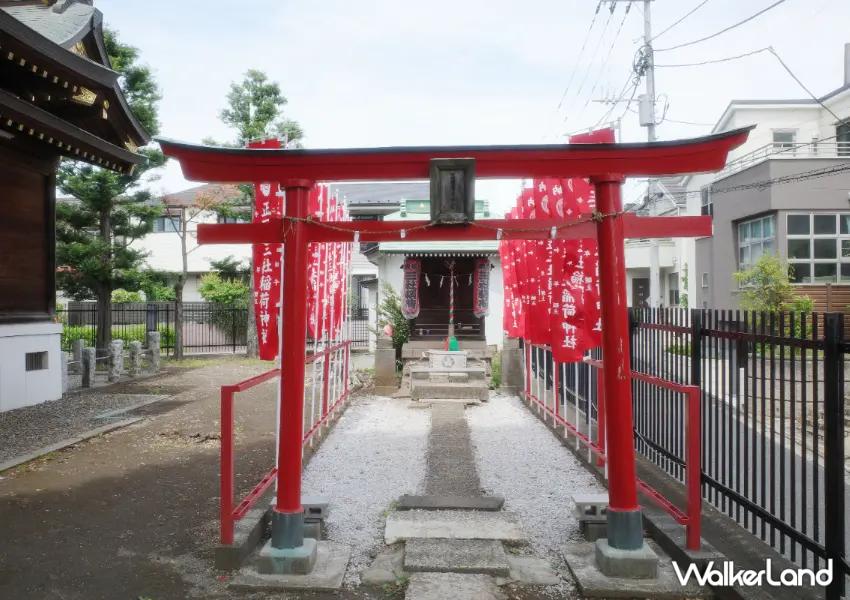 ▲白山神社除主祀伊邪那美命外，境內亦可見三社稻荷神社，紅色鳥居相當醒目。（攝影：陳怡吟）