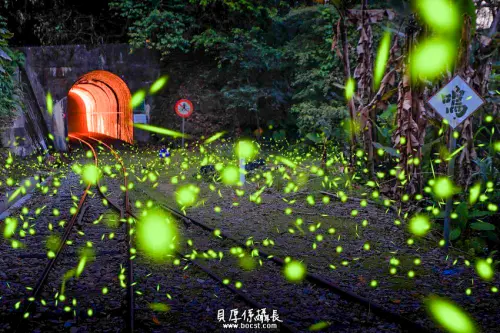 搭捷運就能到！全台螢火蟲7大景點推薦，螢火蟲爆發期別錯過，春季賞螢超浪漫。