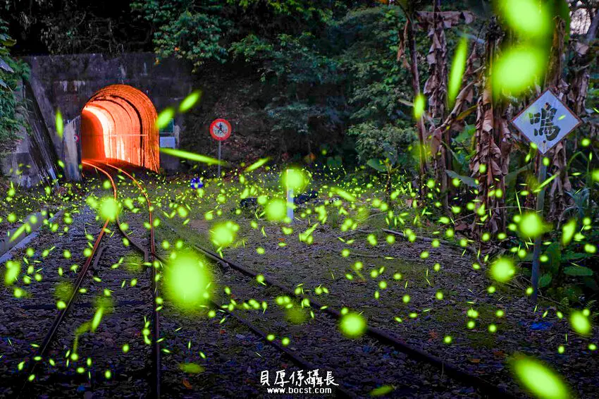 ▲「嘉義梅山」梨園寮無人車站靜謐迷人，鐵道與隧道交織，螢火蟲點綴夜色，宛如走進宮崎駿的動畫之中。