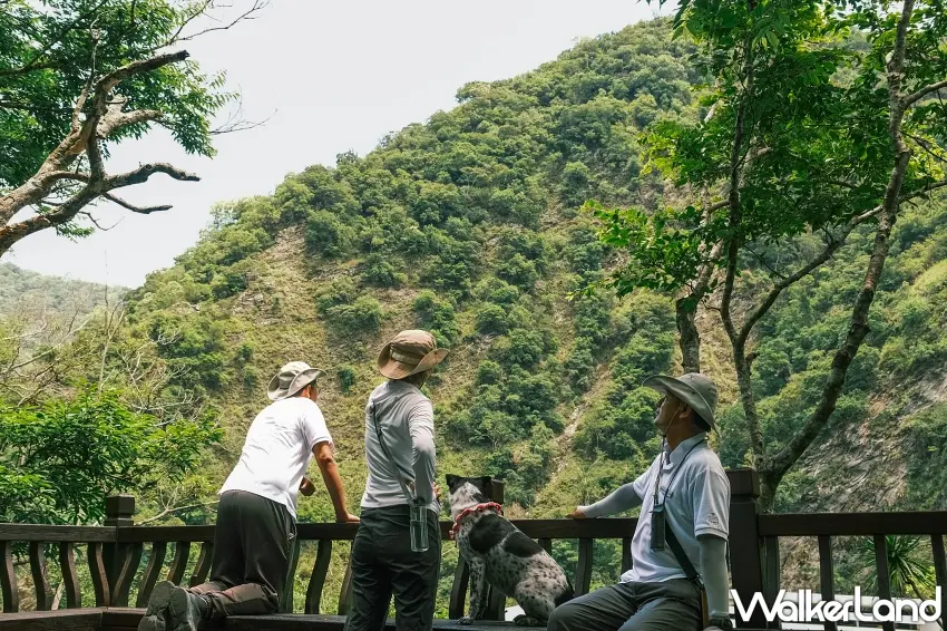 ▲太魯閣晶英酒店鄰近的綠水文山步道林蔭環繞，適合樂齡族群輕鬆漫步 。圖／太魯閣晶英酒店提供；窩客島整理