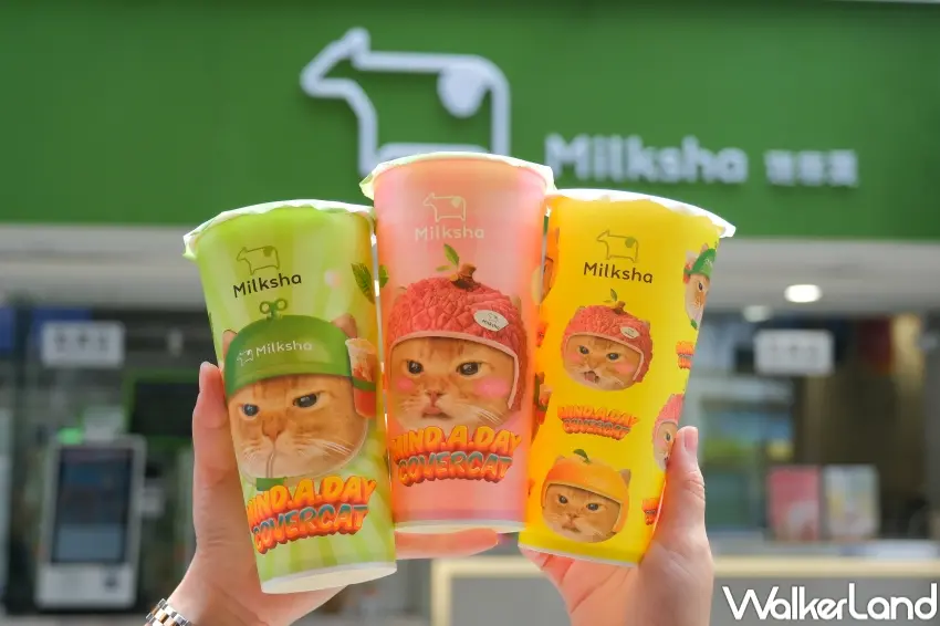 ▲迷客夏推出夏季菜單與MIND.A.DAY聯名，從飲品到周邊打造完整貓咪主題體驗，吸引粉絲關注。（攝影：張人尹）