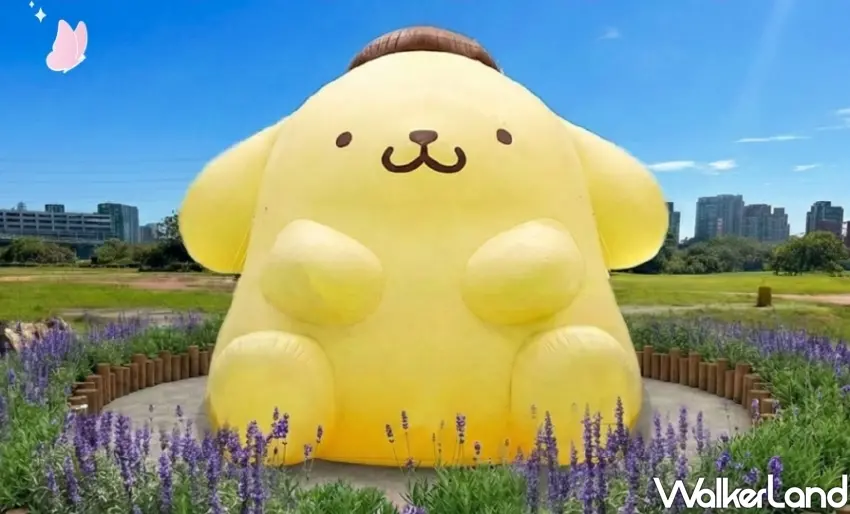 ▲布丁狗巨型氣球座落於板橋蝴蝶公園紫色薰衣草花海。