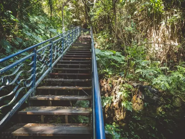▲新店一日遊推薦必去！和美山步道就位在碧潭風景區，看碧潭水舞秀前先來散步。(攝影：部落客 是艾思，不是火拳。)