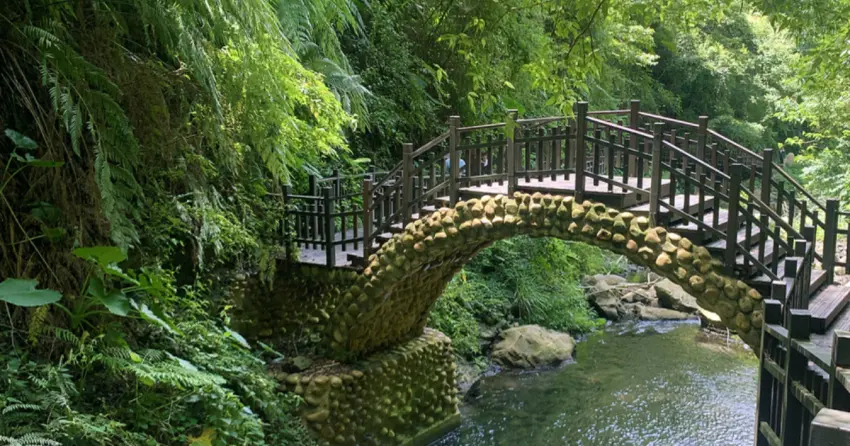 ▲老鷹溪步道後半段採懸空式木棧道設計，既能貼近自然景觀，也減少對環境的破壞。