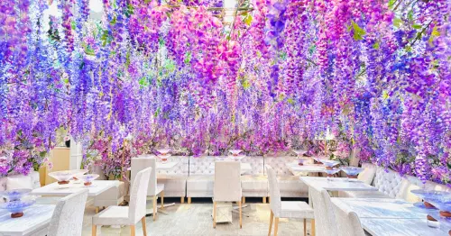 3000朵紫藤花從天而降！東京表參道HAUTE COUTURE CAFE推出賞花下午茶，甜點鹹食美味超值得品嚐。