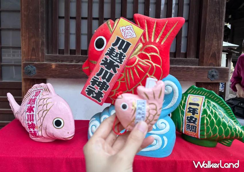 ▲冰川神社的「鯛魚籤」擁有超高人氣，能親手釣起自己心儀的御神籤，紅色象徵平安順心，粉色則是專門祈求良緣與戀愛運。