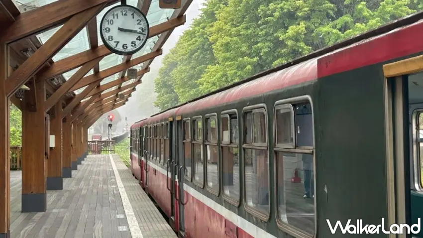 ▲豪華觀光列車駛進阿里山、沼平、祝山等經典車站，串聯在地地景美學。 圖／阿里山賓館提供；窩客島編輯李維唐整理