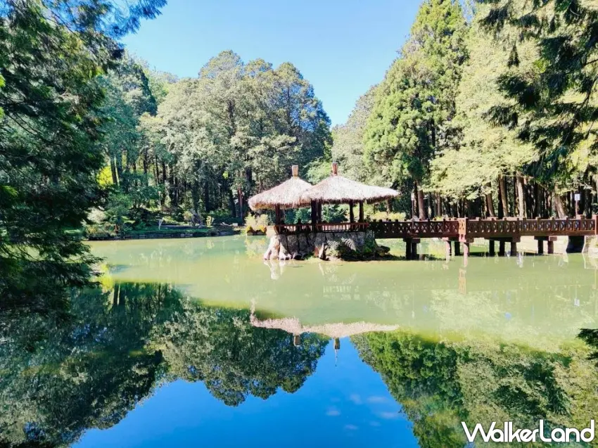▲夏日滿水位的姊妹潭，夢幻倒影與蓊鬱林木構成如夢似幻的美景。 圖／阿里山賓館提供；窩客島編輯李維唐整理