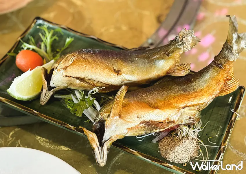 ▲宜蘭必吃香魚專賣店「八甲休閒魚場」椒鹽烤香魚超爆卵（攝影：蕭芷琳）