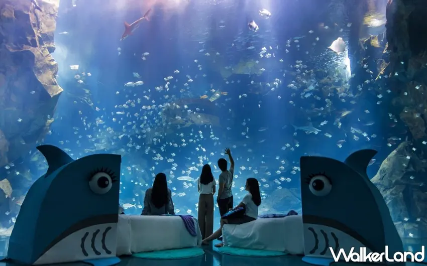 ▲COZZI Blu和逸飯店‧桃園館推出「Blu Night島嶼夢遊」,讓旅客在Xpark水族館中享受一泊三食的沉浸式眠旅體驗 。圖/國泰飯店觀光事業提供;窩客島編輯李維唐整理
