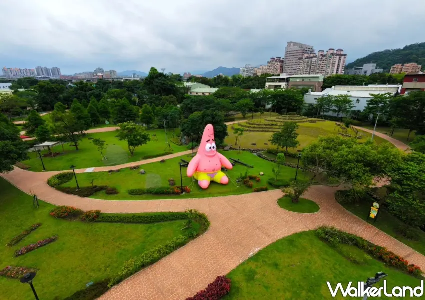 ▲新北客家文化園區有派大星巨型氣偶坐鎮草皮區，享受三鶯休閒時光。
