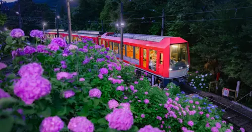 一年只開18天！箱根推出夏季限定夜行列車，讓你坐在電車中欣賞夜晚的繡球花海。