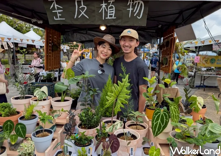 ▲2026植愈蒔光節匯集43個質感攤位，從珍稀多肉、療癒鹿角蕨，到獲得國際金獎肯定的在地地酒應有盡有。