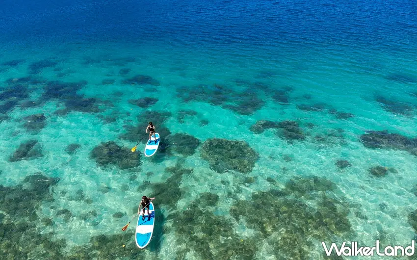 ▲在清澈見底的湛藍海域體驗 SUP 立槳,與海底珊瑚礁近距離接觸。 圖/Klook提供;窩客島編輯李維唐整理