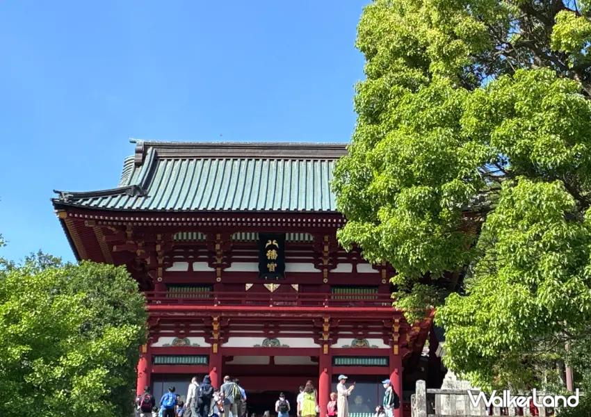 ▲「鶴岡八幡宮」以祈求勝利、開運聞名,氣派的朱紅色建築吸引不少旅人專程前來參拜。