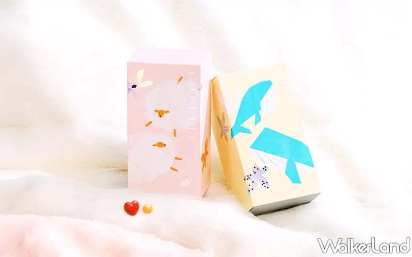 ▲【擁抱系列】綿羊與鯨魚:將柔軟的重量,湧入最親密的懷抱。圖/CUPETIT卡柏蒂提供;窩客島整理