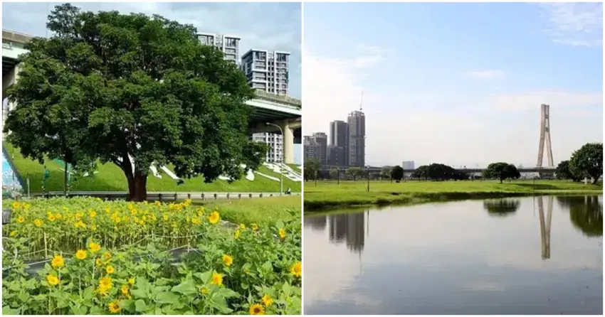 ▲「新北大都會公園」擁有遼闊草地與豐富花景,不同季節還能欣賞花卉盛開,是北部散步、野餐的高人氣景點。