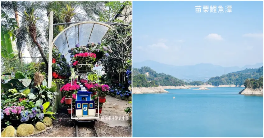 ▲從遼闊湖景到被花卉包圍的小火車，卓蘭的自然景觀療癒感十足，讓人一待就不想離開。
