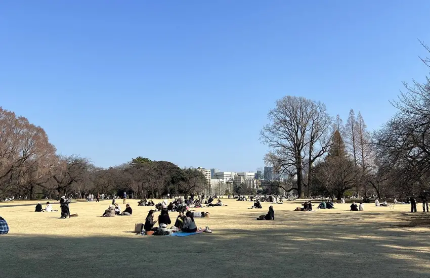 ▲新宿御苑原為江戶時代高級武士內藤家的宅邸與庭園,今日兼具國民公園與城市森林功能的東京綠地。