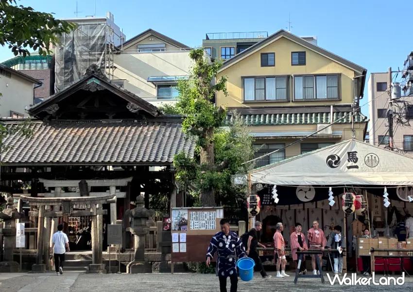 ▲「淺草神社」同樣是三社祭的主要會場之一,祭典期間四處都能看見燈籠、旗幟妝點,氛圍格外熱鬧。